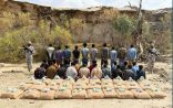 حرس الحدود بمنطقة عسير يقبض على (30) مخالفًا لنظام أمن الحدود لتهريبهم (600) كلجم من نبات القات المخدر