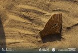 هيئة التراث تُعلن نتائج موسم التنقيب الأثري لعام 2025م للبعثة السعودية – الصينية في موقع السرين الأثري