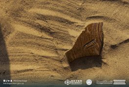 هيئة التراث تُعلن نتائج موسم التنقيب الأثري لعام 2025م للبعثة السعودية – الصينية في موقع السرين الأثري