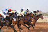 محافظة العقيق تشهد انطلاق المحفل الثاني لسباقات الخيل على درع رجل الأعمال صالح طيشان