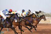 محافظة العقيق تشهد انطلاق المحفل الثاني لسباقات الخيل على درع رجل الأعمال صالح طيشان