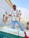 ضبط ” 45 سمكة قرش”  المحظور صيدها بمحافظة القنفذة