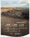 “الغطاء النباتي”: مخالفات نقل وبيع وتخزين الحطب والفحم المحلي تصل إلى 16 ألف ريال