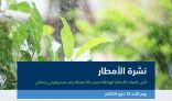 البيئة”: مكة المكرمة تسجّل أعلى كمية هطول أمطار بـ (19.6) ملم في الطائف