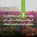 “الغطاء النباتي” يوقع عقودًا استثمارية لتطوير 3 متنزهات وطنية بمنطقتي الرياض والحدود الشمالية