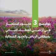 “الغطاء النباتي” يوقع عقودًا استثمارية لتطوير 3 متنزهات وطنية بمنطقتي الرياض والحدود الشمالية