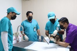 “وقاء” بمنطقة مكة المكرمة أطلق حملة لتحصين الحيوانات الأليفة ضد مرض السعار.