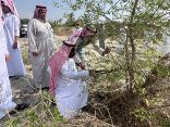 بيئة العرضيات تنفذ مبادرة لتقليم الأشجار وتعزيز الوعي بالغطاء النباتي