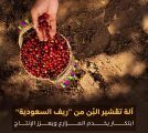 “ريف السعودية” يُعلن نجاح التجربة الأولية لمعدات تقشير البُن والبدء في توفيرها للمزارعين