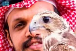الأوصاف والوزن والقياس.. ميزات رئيسة في جمال الصقور بالمملكة