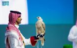 لقاء 642 صقرًا “مزاد الصقور” يختتم فعالياته بمبيعات تجاوزت 8 ملايين ريال