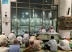 “الشؤون الإسلامية” تكثّفُ جهودها الدعوية لتوعية ضيوف الرحمن في مصليات فنادق المنطقة المركزية