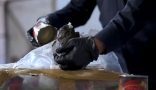 جمرك الوديعة يُحبط محاولة تهريب 6.2 كيلوجرامات من مادة “الحشيش” المخدر