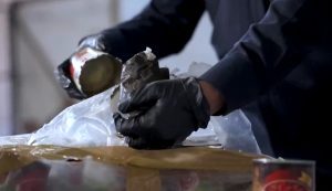 جمرك الوديعة يُحبط محاولة تهريب 6.2 كيلوجرامات من مادة “الحشيش” المخدر