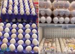 “الزراعة” تؤكد استيراد كميات إضافية من البيض  .. والتجارة تراقب منافذ البيع