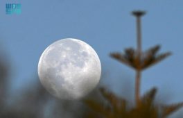 “بدر الفراشة” يزيّن سماء المملكة