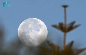 “بدر الفراشة” يزيّن سماء المملكة