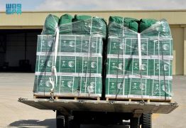 وصول الطائرة الإغاثية السعودية الـ81 لإغاثة الشعب الفلسطيني في قطاع غزة