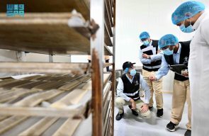 رئيس “الغذاء والدواء” يتفقد عددًا من المصانع والمستودعات الغذائية بالمدينة المنورة