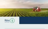 تعرّف على برنامج “سنبلة” لبناء منظومة ريادة الأعمال في القطاعات الزراعية الفرعية