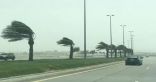 “الأرصاد”: رياح شديدة السرعة على محافظتي جدة ورابغ