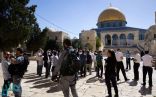 تحت حماية قوات الاحتلال .. عشرات المستوطنين يقتحمون المسجد الأقصى
