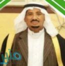 تعانقت نخلة وعلم