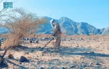 مشروع مركز الملك سلمان للإغاثة “مسام” ينزع (1,243) لغمًا في الأراضي اليمنية خلال أسبوع