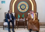 نائب وزير الخارجية يلتقي رئيس مفوضية الاتحاد الأفريقي