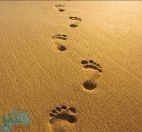 متى علينا المغادرة ؟!