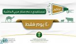 “40 يوماً فقط لانتهاء المهلة” ..”البيئة” تنشر دليل طريقة تحديث بيانات صغار مربي الماشية