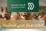 “البيئة” تودع أكثر من 118 مليون ريال لدعم مربي الماشية ضمن برنامج الإعانات الزراعية