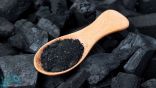 تعرف على فوائد ”الفحم النشط“ لصحة الإنسان