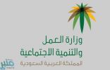 “العمل والتنمية”: نقل 60 يتيماً من مختلف مناطق المملكة لبيوت نموذجية بدلاً من دور الإيواء