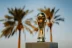 الاتحاد السعودي يحدد موعد قرعة كأس خادم الحرمين الشريفين