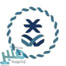 هيئة المحتوى المحلي والمشتريات الحكومية تطلق هويتها