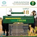 “البيئة”: 18 ألف رأس ماشية تم السماح بتصديرها خلال 7 أشهر