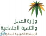 “العمل ” تبدأ إصدار وثائق العمل الحر.. وهذه أهدافها