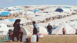عودة 28 ألف لاجئ سوري في الأردن إلى بلادهم خلال 10 أشهر