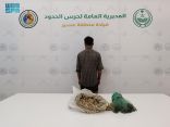 حرس الحدود بمنطقة عسير يحبط تهريب (176) كيلوجرامًا من نبات القات المخدر