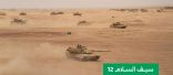 انطلاق مناورات التمرين المشترك «سيف السلام 12» بالمنطقة الشمالية الأسبوع المقبل