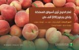 ثمار الخوخ تُزيّن أسواق المملكة وإنتاجها المحلي يتجاوز (28) ألف طن