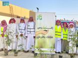 “بيئة مكة” تنفّذ حملات لتشجير المدارس بمحافظة الليث