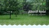 “البيئة”: مكة المكرمة تسجّل أعلى كمية لهطول الأمطار بـ (28.0) ملم في قصير بالجموم