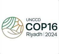 المملكة تشارك في أعمال مؤتمر الأطراف .. وتُسلّم رئاسة (COP16) إلى منغوليا “الاثنين المقبل”
