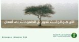 المملكة تشارك العالم الاحتفاء باليوم العالمي لمكافحة التصحر والجفاف بإعادة تأهيل 313 ألف هكتار وحماية 18.1% من مناطقها البرية