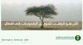المملكة تشارك العالم الاحتفاء باليوم العالمي لمكافحة التصحر والجفاف بإعادة تأهيل 313 ألف هكتار وحماية 18.1% من مناطقها البرية