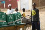 مركز الملك سلمان للإغاثة يوزع 719 سلة غذائية في محلية سنجة بولاية سنار في السودان
