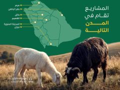 “ريف السعودية” يُنفّذ 7 مجمعات نموذجية للإنتاج الحيواني في عددٍ من المناطق