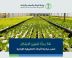 “البيئة”: 54 بحثًا في الأبحاث التطبيقية الزراعية لتعزيز الابتكار وتنمية المجتمعات الريفية